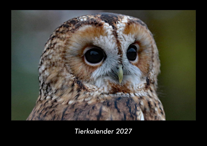 Kalender/Terminbuch Tierkalender 2027 Fotokalender DIN A3 