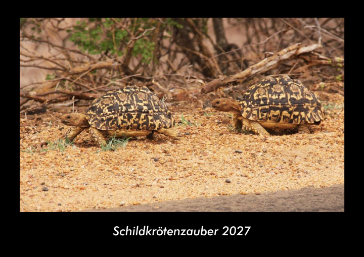 Kalendár/Diár Schildkrötenzauber 2027 Fotokalender DIN A3 