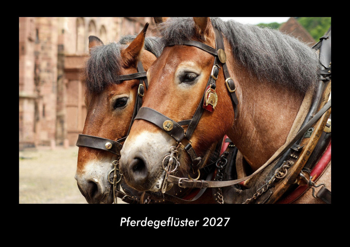 Kalender/Terminbuch Pferdegeflüster 2027 Fotokalender DIN A3 
