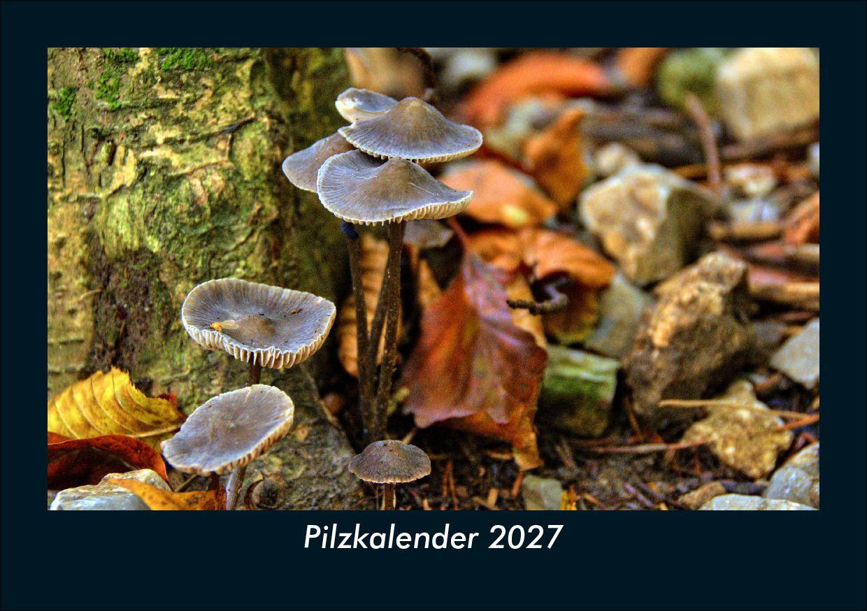Kalender/Terminbuch Pilzkalender 2027 Fotokalender DIN A5 Kevin Heber