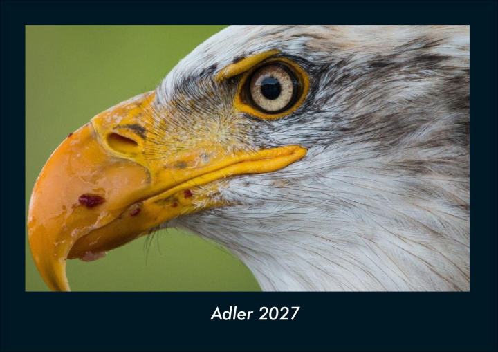 Calendario/Diario Adler 2027 Fotokalender DIN A4 Kevin Heber