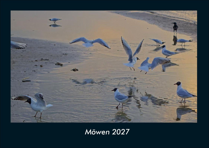 Kalendář/Diář Möwen 2027 Fotokalender DIN A4 Kevin Heber