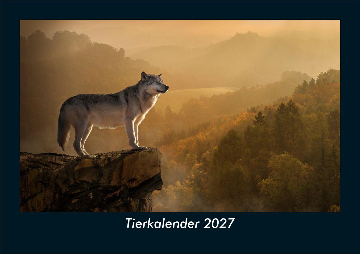 Kalendár/Diár Tierkalender 2027 Fotokalender DIN A5 Kevin Heber