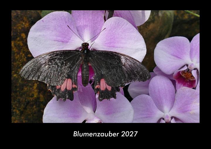 Kalendár/Diár Blumenzauber 2027 Fotokalender DIN A3 