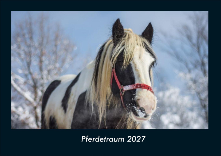 Kalender/agenda Pferdetraum 2027 Fotokalender DIN A4 Kevin Heber