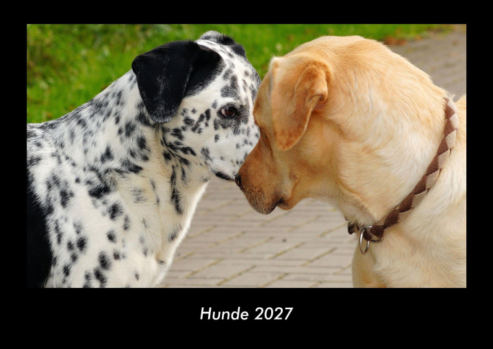 Naptár/Határidőnapló Hunde 2027 Fotokalender DIN A3 