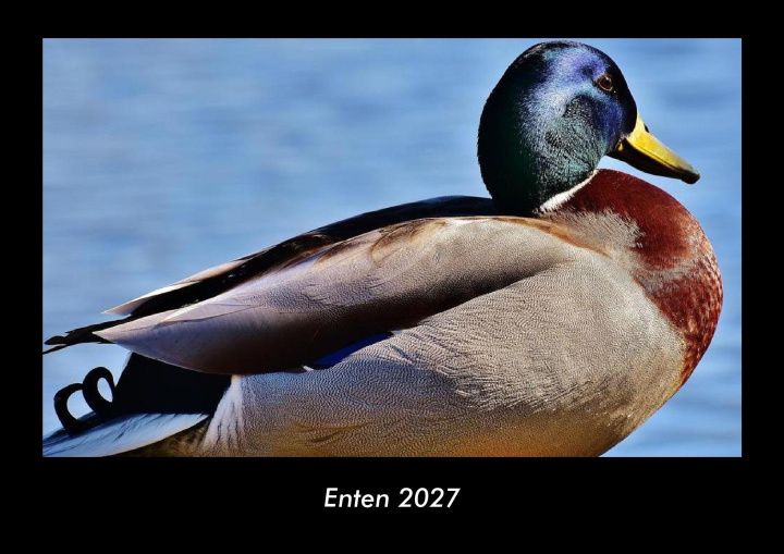 Naptár/Határidőnapló Enten 2027 Fotokalender DIN A3 