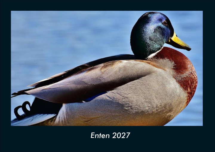 Calendar / Agendă Enten 2027 Fotokalender DIN A4 Kevin Heber