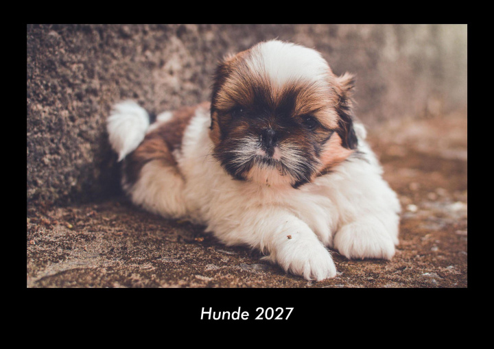 Kalendář/Diář Hunde 2027 Fotokalender DIN A3 