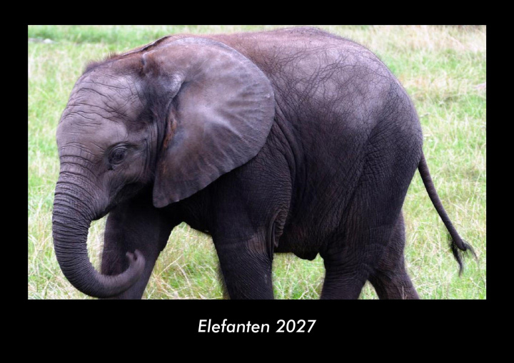 Календар/тефтер Elefanten 2027 Fotokalender DIN A3 