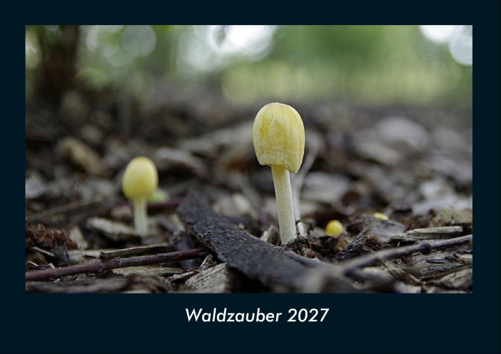 Календар/тефтер Waldzauber 2027 Fotokalender DIN A4 Kevin Heber