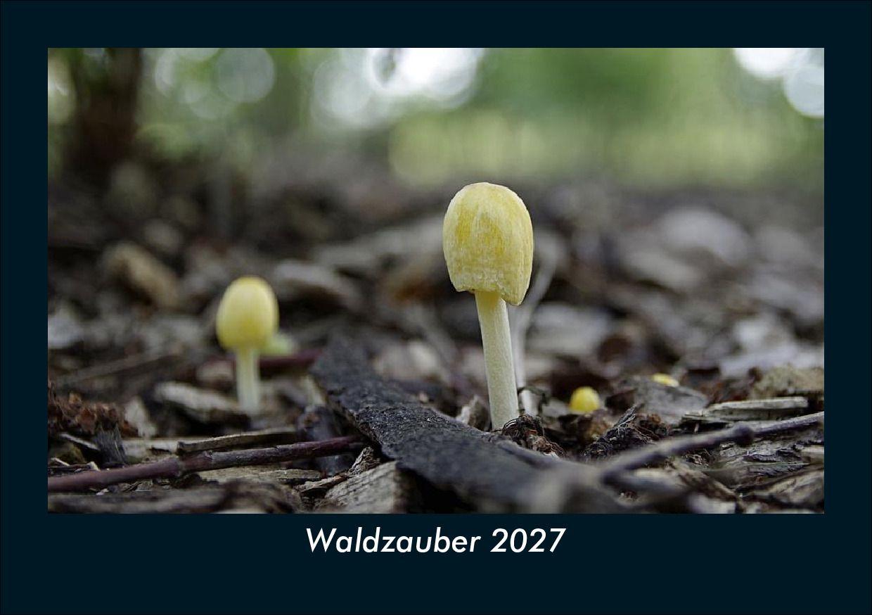 Kalendář/Diář Waldzauber 2027 Fotokalender DIN A5 Kevin Heber