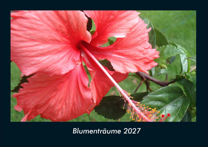 Koledar/Rokovnik Blumenträume 2027 Fotokalender DIN A4 Kevin Heber