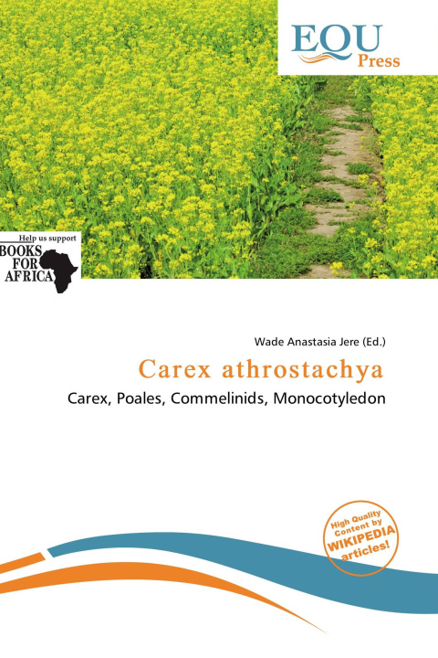 Buch Carex athrostachya 