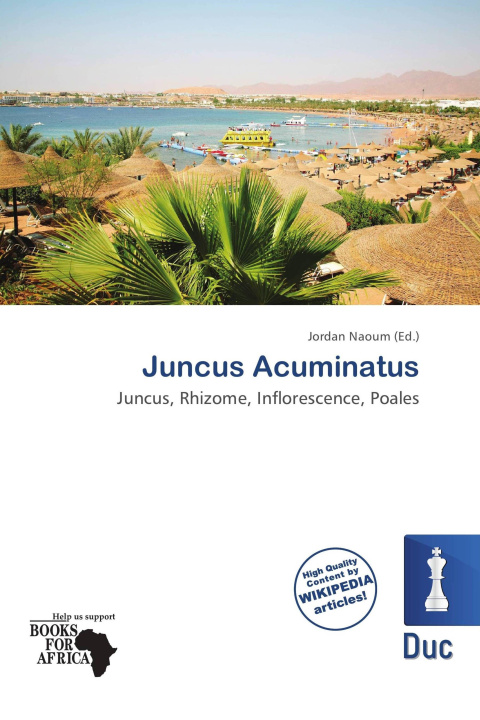 Boek Juncus Acuminatus 