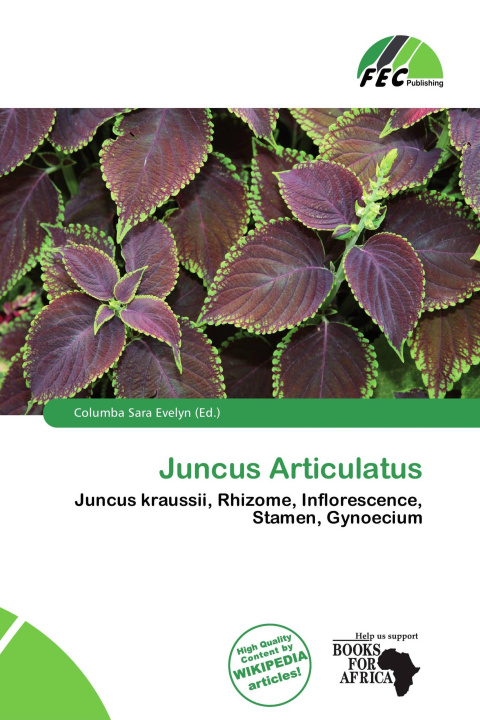 Boek Juncus Articulatus 