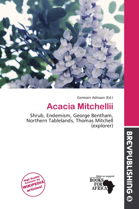 Buch Acacia Mitchellii 