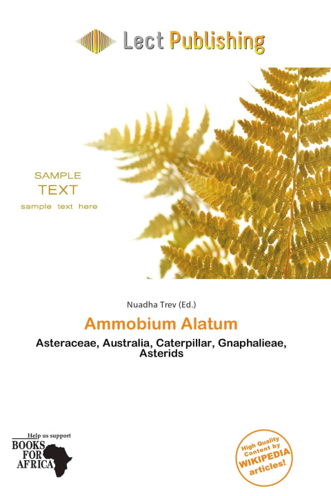 Carte Ammobium Alatum 