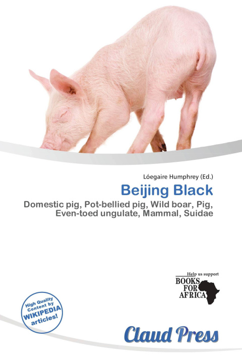 Книга Beijing Black 