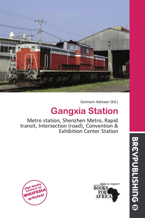 Libro Gangxia Station 