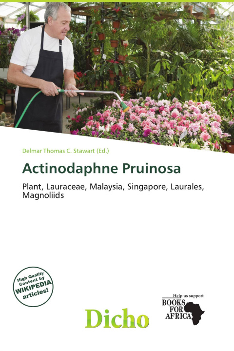 Buch Actinodaphne Pruinosa 