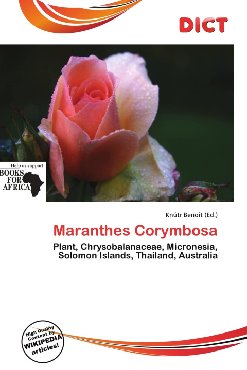 Carte Maranthes Corymbosa 