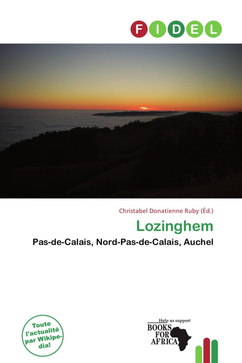 Книга Lozinghem 