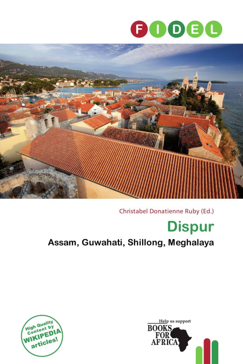 Libro Dispur 