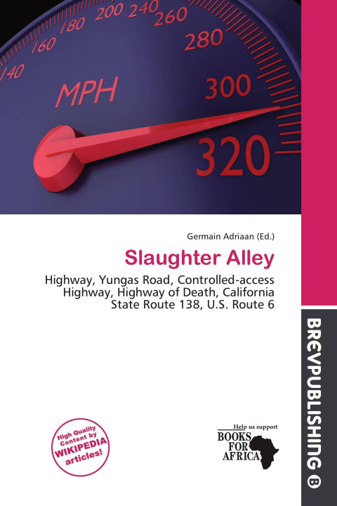 Könyv Slaughter Alley 