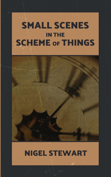 Libro Small Scenes in the Scheme of Things Nigel Stewart