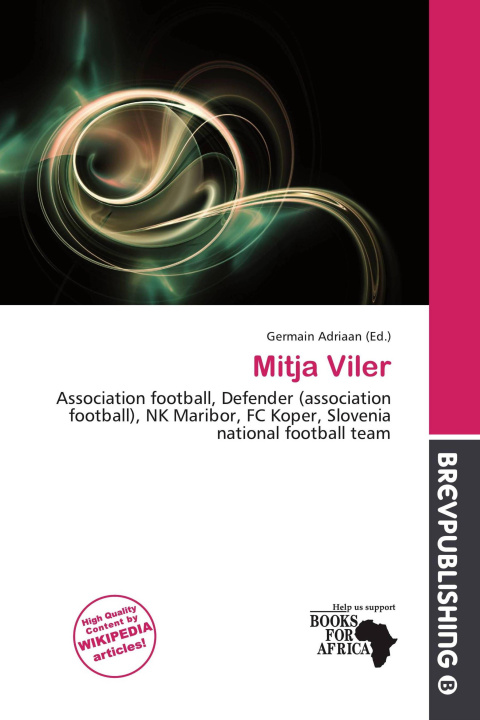 Book Mitja Viler 