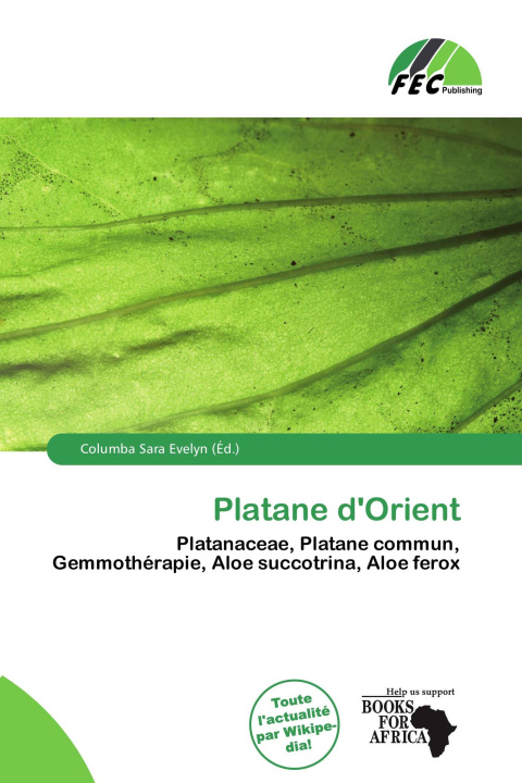 Carte Platane d'Orient 