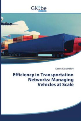 Boek Efficiency in Transportation Networks: Managing Vehicles at Scale Denys Karazhekov