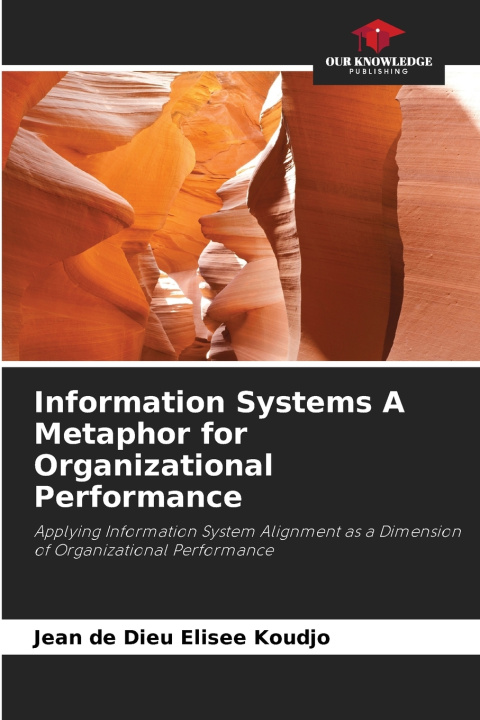Книга Information Systems A Metaphor for Organizational Performance Jean de Dieu Elisée Koudjo