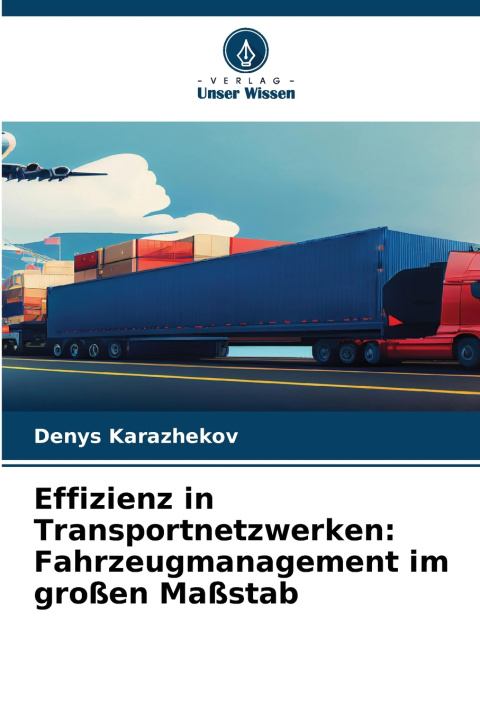 Książka Effizienz in Transportnetzwerken Denys Karazhekov