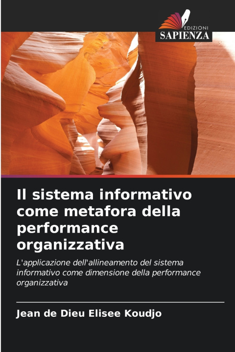 Kniha Il sistema informativo come metafora della performance organizzativa Jean de Dieu Elisée Koudjo