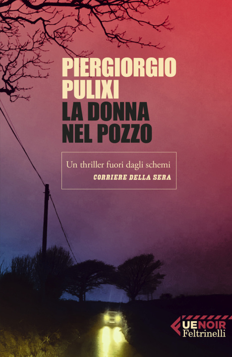 Книга donna nel pozzo Piergiorgio Pulixi