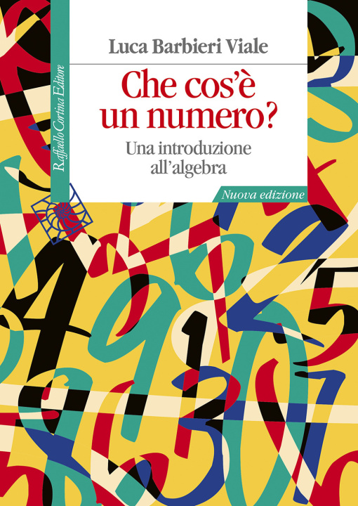 Buch Che cos'è un numero? Una introduzione all'algebra Luca Barbieri Viale