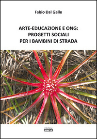Könyv Arte-Educazione e Ong: progetti sociali per i bambini di strada Fabio Dal Gallo
