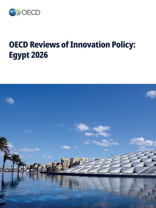 Buch OECD Reviews of Innovation Policy 