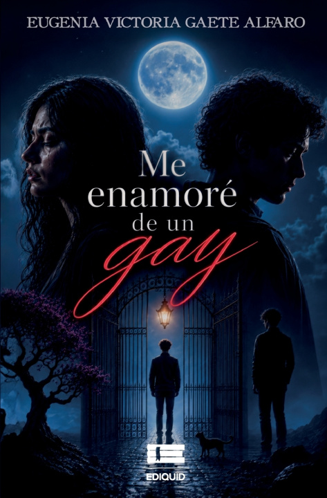 Buch Me enamoré de un gay Grupo Ígneo