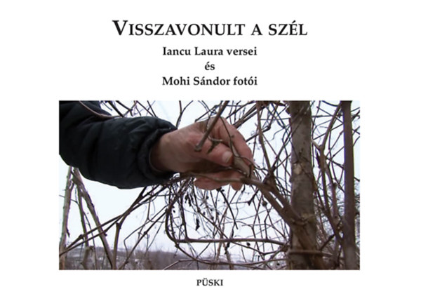 Buch Visszavonult a szél Iancu Laura