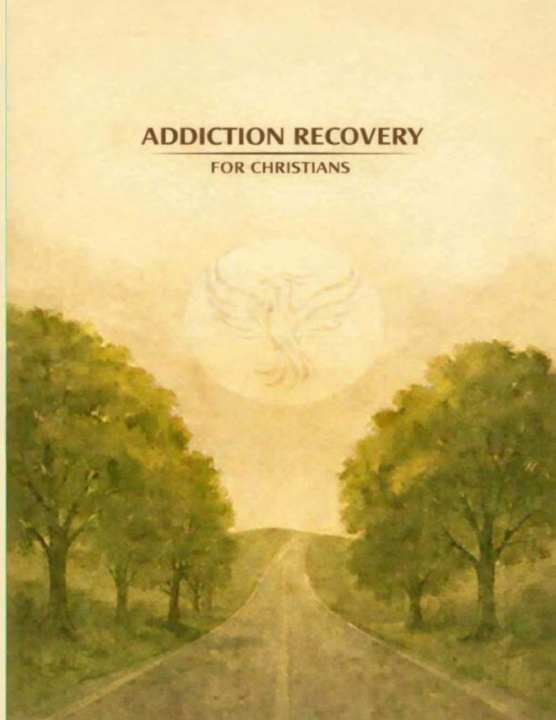 Buch Addiction Recovery Sustainable Recovery Network