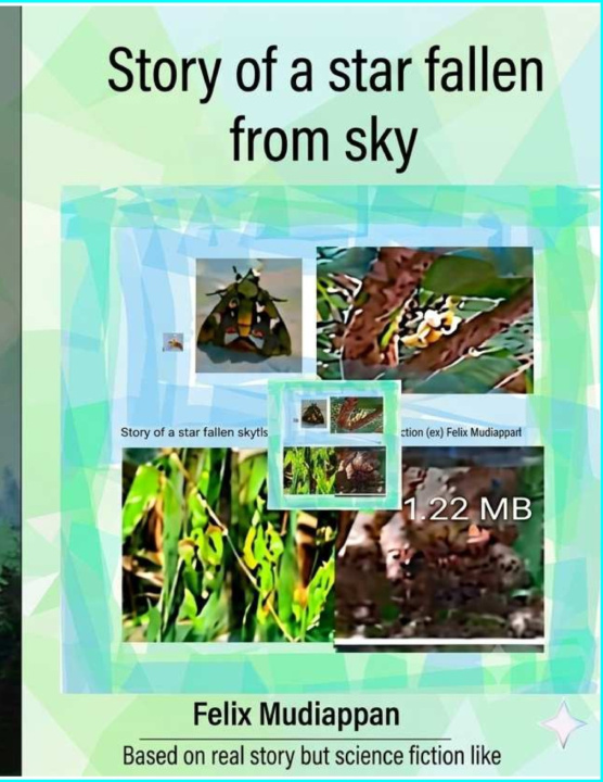 Buch Story of a star fallen from sky Felix Mudiappan
