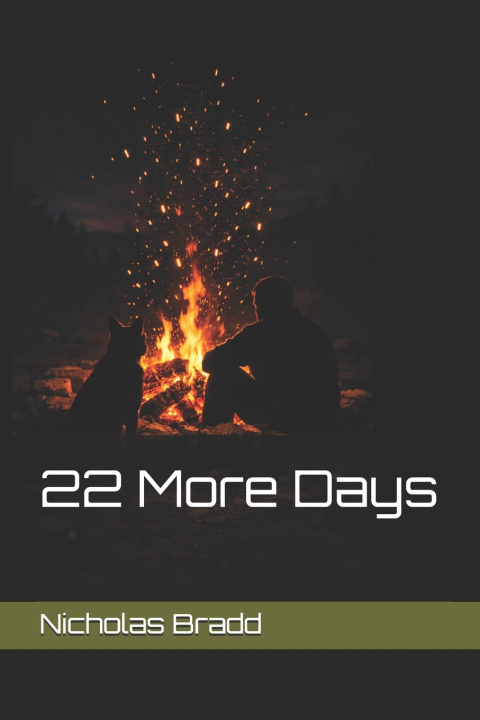Buch 22 More Days Nicholas Bradd