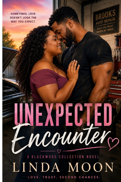 Book Unexpected Encounter Linda Moon