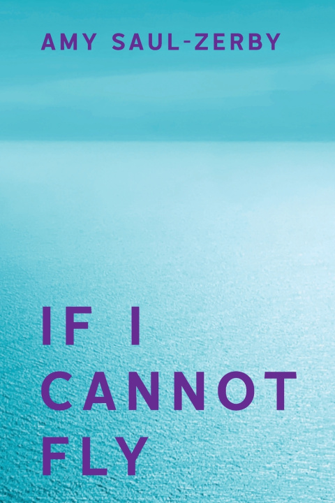Kniha If I Cannot Fly Amy Saul-Zerby