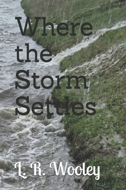 Книга Where the Storm Settles L R Wooley