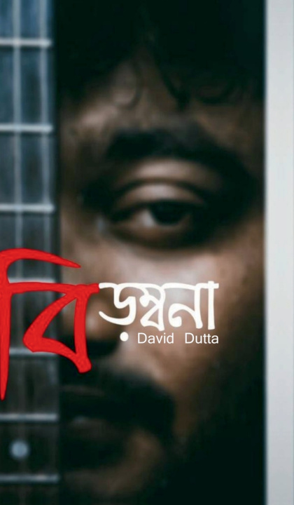 Book IRONY David Dutta