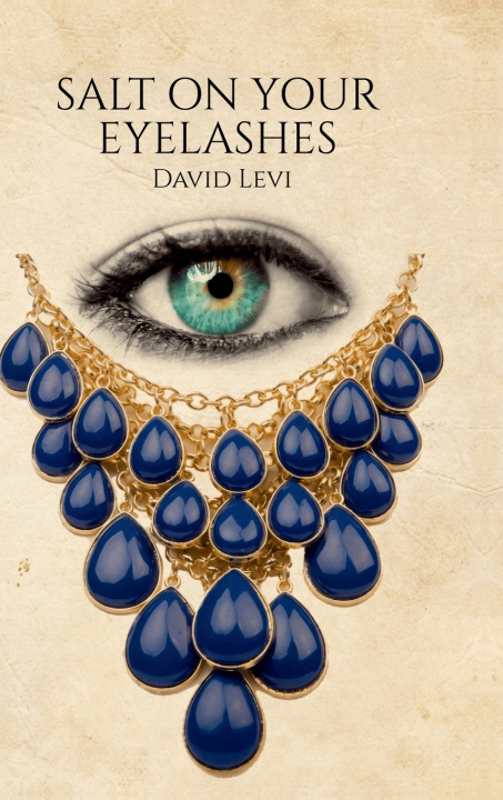 Книга Salt on Your Eyelashes David Levi
